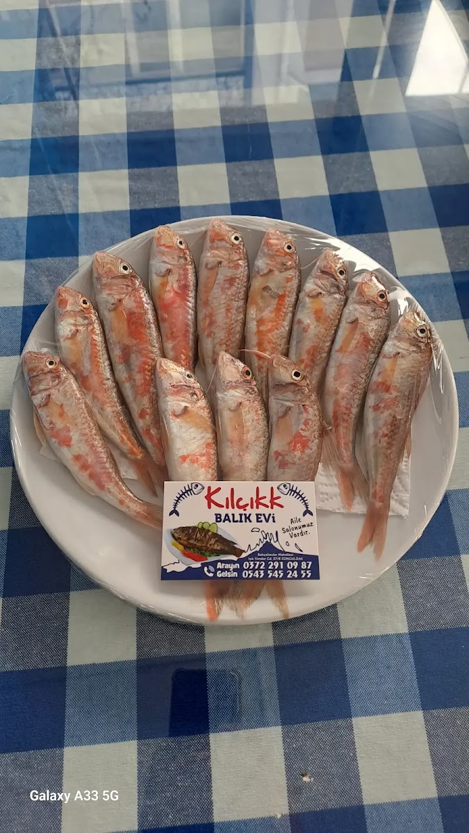 Kilcikk Balik Restaurant (Aytekin Sahin)-2