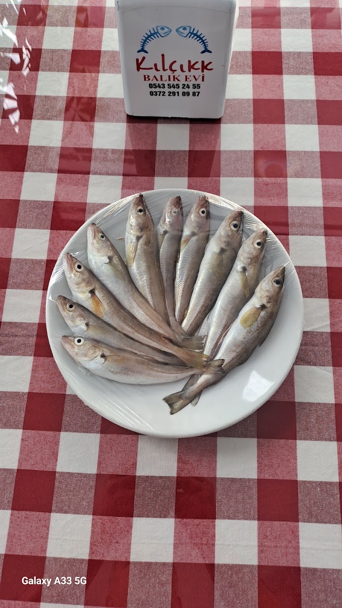 Kilcikk Balik Restaurant (Aytekin Sahin)-9